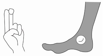 1544077639667418.jpg 圖片2.jpg